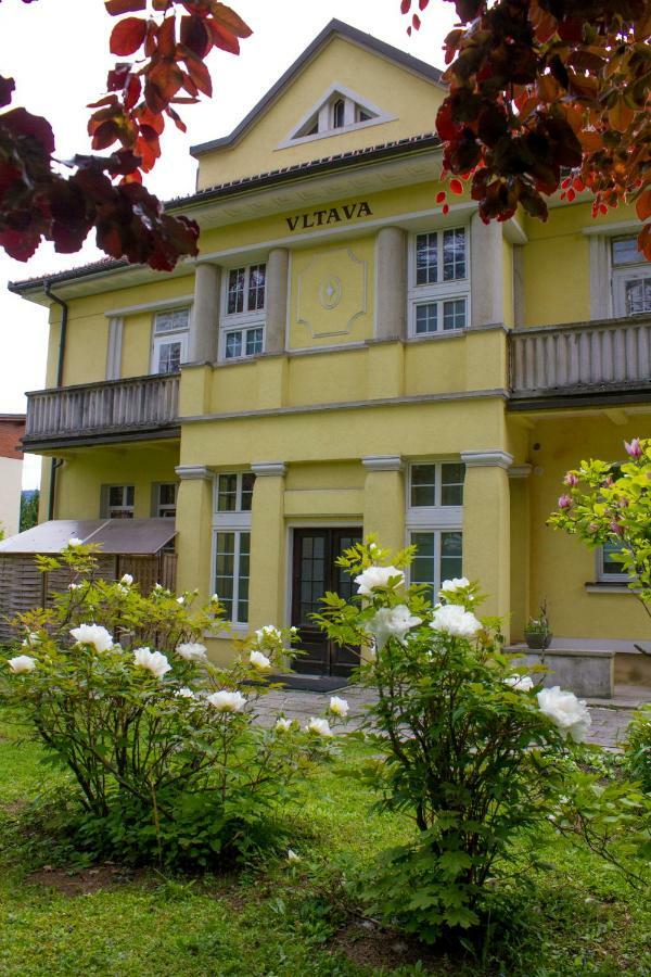 Apartment Villa Vltava 布莱德 外观 照片